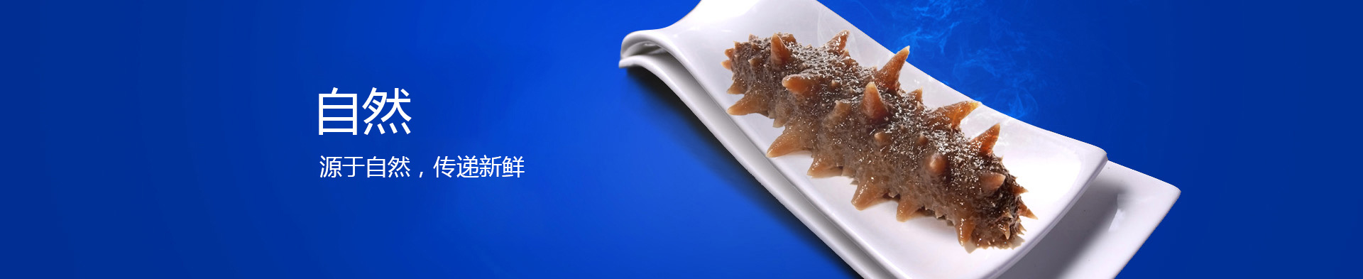 自然生長(zhǎng)的煙臺(tái)長(zhǎng)島野生海參