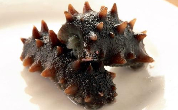 長島野生干海參到底好在哪里？